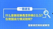 精产品精一二二区在线观看,独家在线观看,尽享视听盛宴